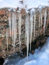 Icicles Hanging from a Rock (Portrait Version) Royalty Free Stock Photo