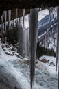 Icicles hanging from rock. Winter season in nature Royalty Free Stock Photo