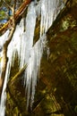 Icicles hanging from rocks Royalty Free Stock Photo