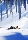 Chalets covered with snow in the Transylvanian Alps
