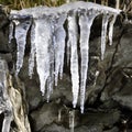 Icicles Royalty Free Stock Photo