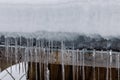 Icicles and ice dam on roof edge during winter with snow. Royalty Free Stock Photo