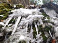 Icicles and ice on mossy scarp Royalty Free Stock Photo