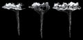 Icicles isolated on a black background, with clipping path