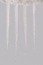 Icicle isolated on a grey Clipping path Royalty Free Stock Photo