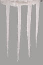 Icicle isolated on a grey Clipping path Royalty Free Stock Photo