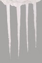 Icicle isolated on a grey Clipping path Royalty Free Stock Photo