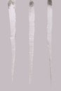 Icicles isolated on a grey Three clipping path Royalty Free Stock Photo