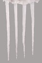 Icicles isolated on a grey background Royalty Free Stock Photo