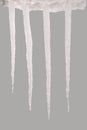 Icicles isolated on a grey Royalty Free Stock Photo