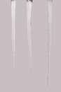 Icicles isolated on a grey Three clipping path Royalty Free Stock Photo