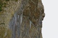 Icicles on the limestone cliff at Kilnsey Crag, Craven, North Yorkshire, England, UK