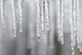 The icicles are melting from roof in end of winter. Thaw and ice melting. Drops of water slowly fall of a roof. Blurred background Royalty Free Stock Photo