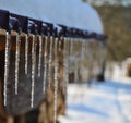 Icicles from melting snow, South Bohemia Royalty Free Stock Photo