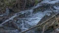 Icicles over the frozen stream in a forest Royalty Free Stock Photo
