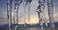 Icicles bird mountains sunset Royalty Free Stock Photo