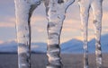 Icicles sunset mountains