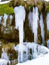 Icicles, rock face and moss on cliff outdoor in nature, waterfall and mountain ecology in winter. Frozen ice hanging on Royalty Free Stock Photo