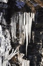 Icicles on rock Royalty Free Stock Photo