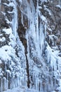 Icicles on the rock
