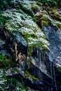 Icicles on Rocks at Rocky Mountain National Park Royalty Free Stock Photo