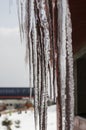 Icicles on the roof of the cottage