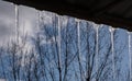 Icicles shimmering in the sun hang from a dark roof against a blurry background of sleeping nature.