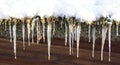 Icicles and snow - housetop