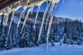 Icicles in snowy landscape, Austria Royalty Free Stock Photo
