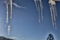 Icicles in snowy landscape, Austria Royalty Free Stock Photo