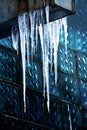 Icicles spring Royalty Free Stock Photo
