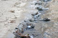 Icicles on stone on the beach in sunny winter day Royalty Free Stock Photo