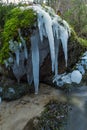 Icicles up the swift creek