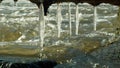 Icicles water river Morava in winter frozen magic and magical white, hanging from overhang, flowing down with ice stones