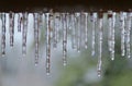 Icicles of Winter - Weather Background - Nature and Her Cold Hand