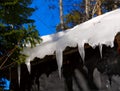 Icicles on wooden roof