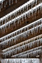 Icicles hanging from a pergola roof. Royalty Free Stock Photo