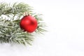 Icing Pine Branch With Cone And Red Matt Christmas Ball On Snow