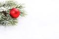 Icing pine branch with cone and red matt christmas ball on snow