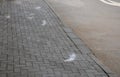 Icing protection on the pavement is sprinkled with salt. the salt melts the ice into a harmless slurry. the salt layer is too high
