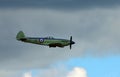 Supermarine Seafire Navy Wings aircraft in flight Royalty Free Stock Photo