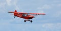 Vintage 1961 Piper Super Cub in flight close up.