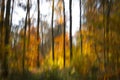 ICM of a forest in the autumn Royalty Free Stock Photo