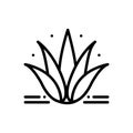 Black line icon for Agave, plant and cactus Royalty Free Stock Photo