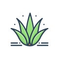 Color illustration icon for Agave, plant and alovera Royalty Free Stock Photo