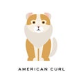 American curl cat. Purebred pet with curled ears, brown fur and white ruff around neck. Cartoon domestic animal. Flat