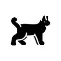 Black solid icon for Animal, cattle and beast Royalty Free Stock Photo