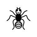 Black solid icon for Ant, beetle and flea
