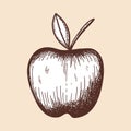 Icon Of Apple