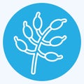 Icon Barberry. related to Spice symbol. blue eyes style. simple design editable. simple illustration